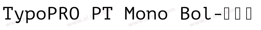 TypoPRO PT Mono Bol字体转换